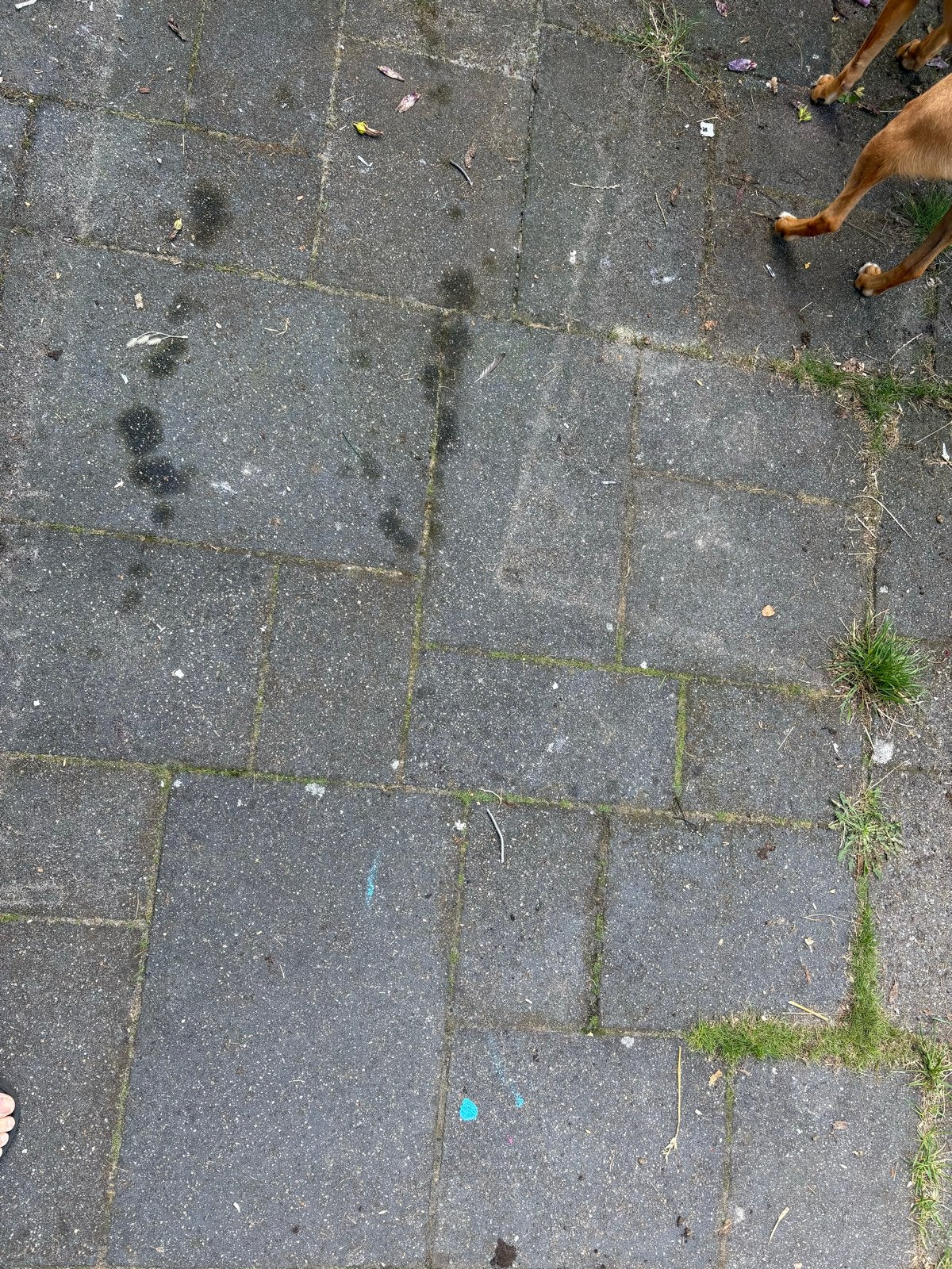 Gebruikte grijze tegels, diverse maten, 6 cm hoog, Ophalen, Overige materialen, Gebruikt, 10 m² of meer