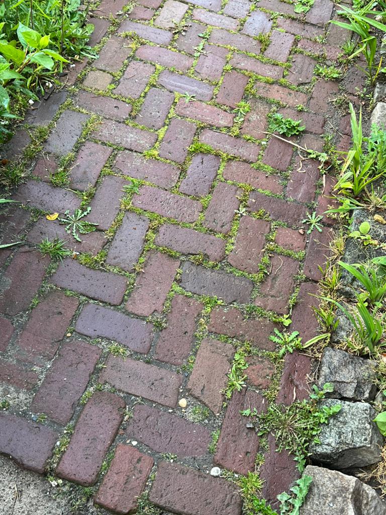 Gebakken klinkers ( broodjes), Ophalen of Verzenden, Zo goed als nieuw, Beton, Klinkers