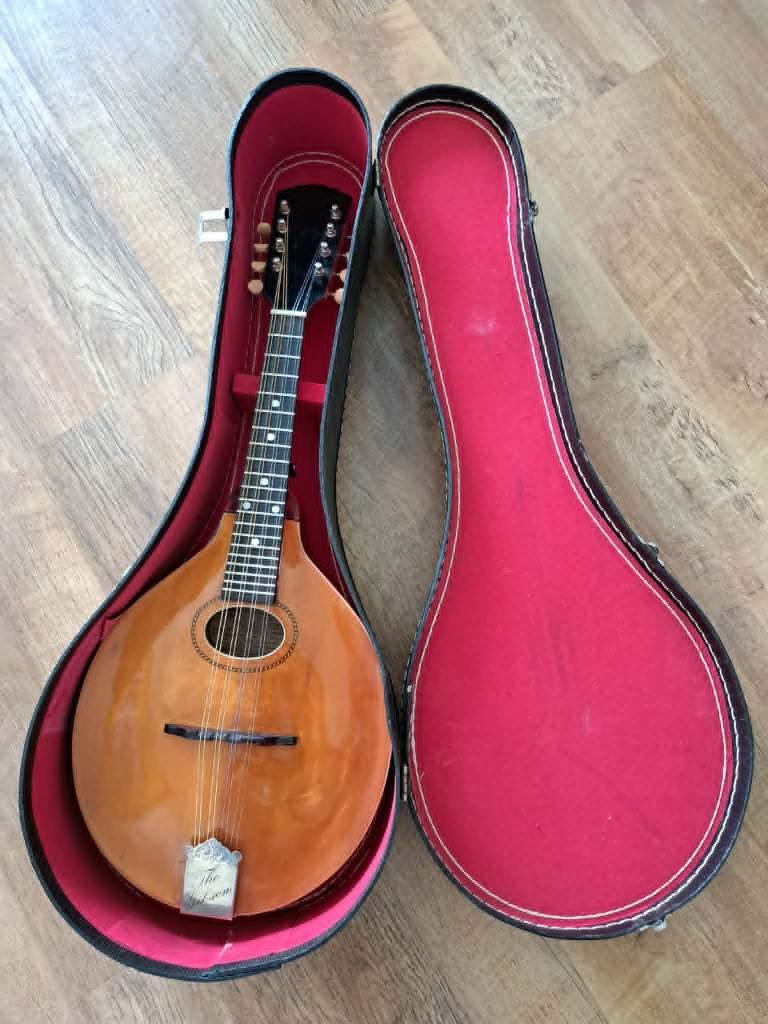 The Gibson Mandoline A model 1920 Origineel en mooie staat, Muziek en Instrumenten, Snaarinstrumenten | Mandolines, Ophalen of Verzenden