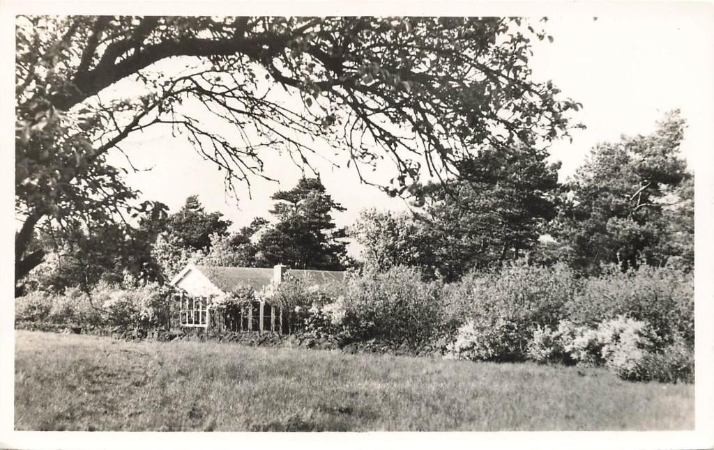 Fredeshiem, Lytshiem, met bloeiende brem, Ophalen of Verzenden, 1940 tot 1960, Gelopen, Overijssel