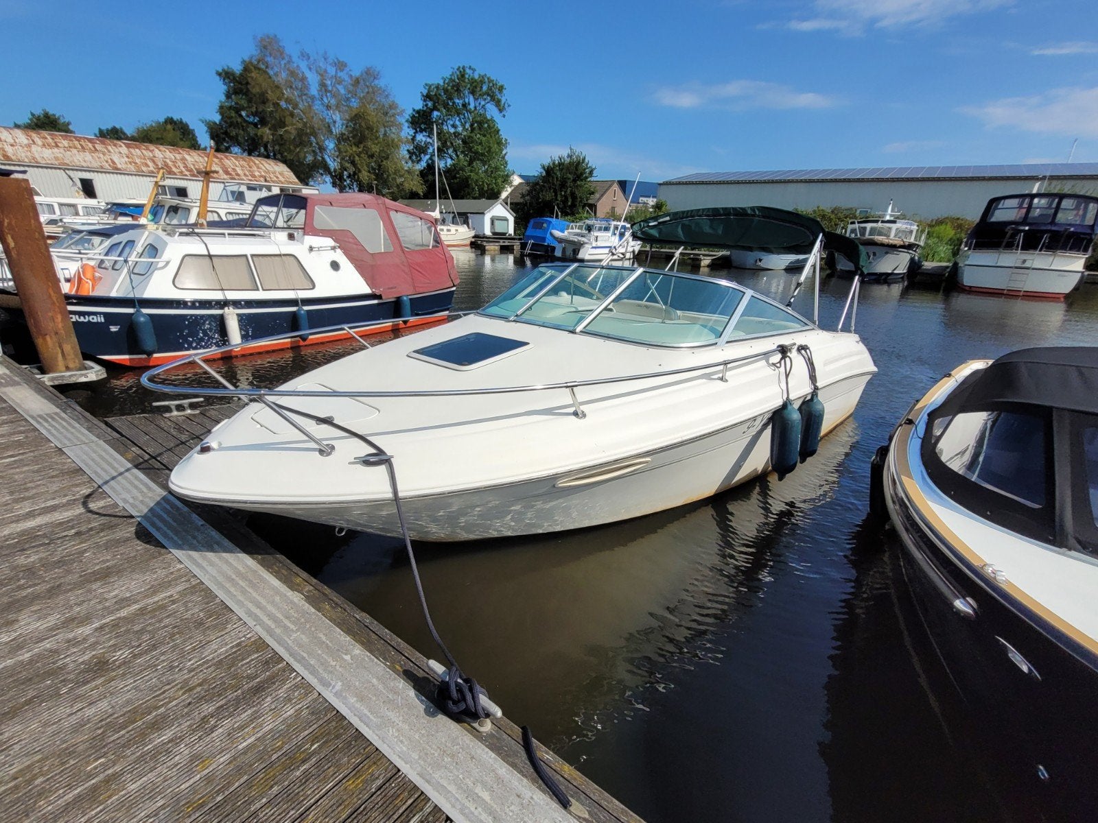 Sea Ray 215 met krachtige Mercruiser 220 pk V8 motor, Watersport en Boten, Motorboten en Motorjachten, Benzine, Gebruikt, Ophalen of Verzenden