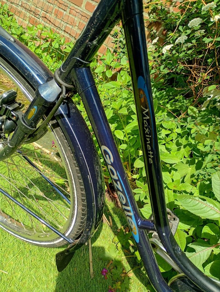 Gazelle maxinette kleine damesfiets, Fietsen en Brommers, Fietsen | Oldtimers, 47 tot 51 cm, Ophalen, Terugtraprem, Gazelle Maxinette