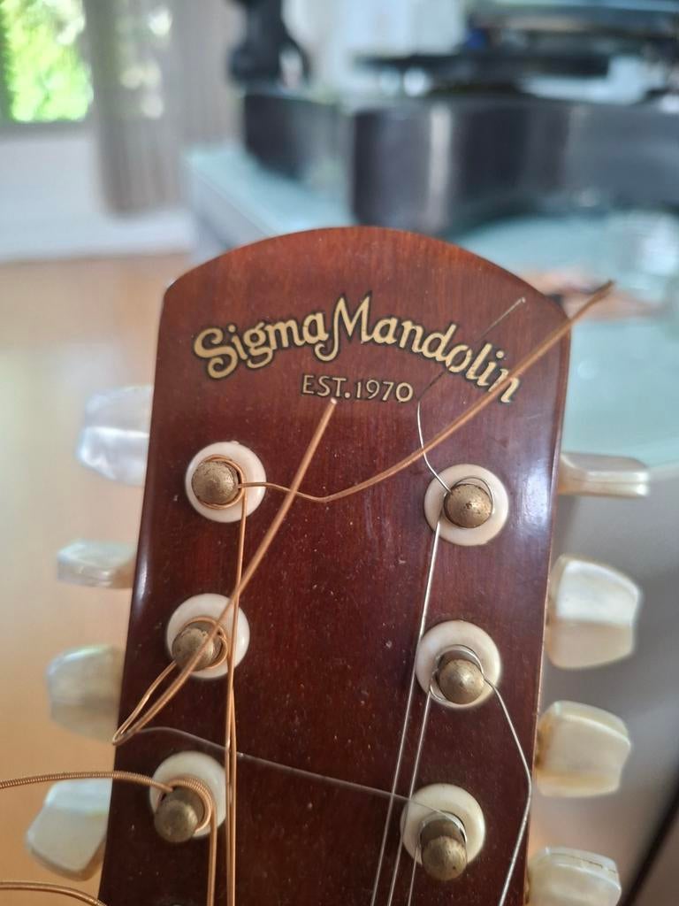 Sigma SM-1 mandoline, Muziek en Instrumenten, Snaarinstrumenten | Mandolines, Ophalen of Verzenden, Zo goed als nieuw