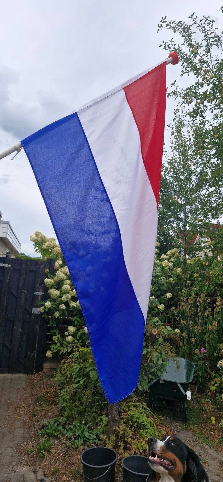 Nederlandse vlag, Ophalen, Gebruikt
