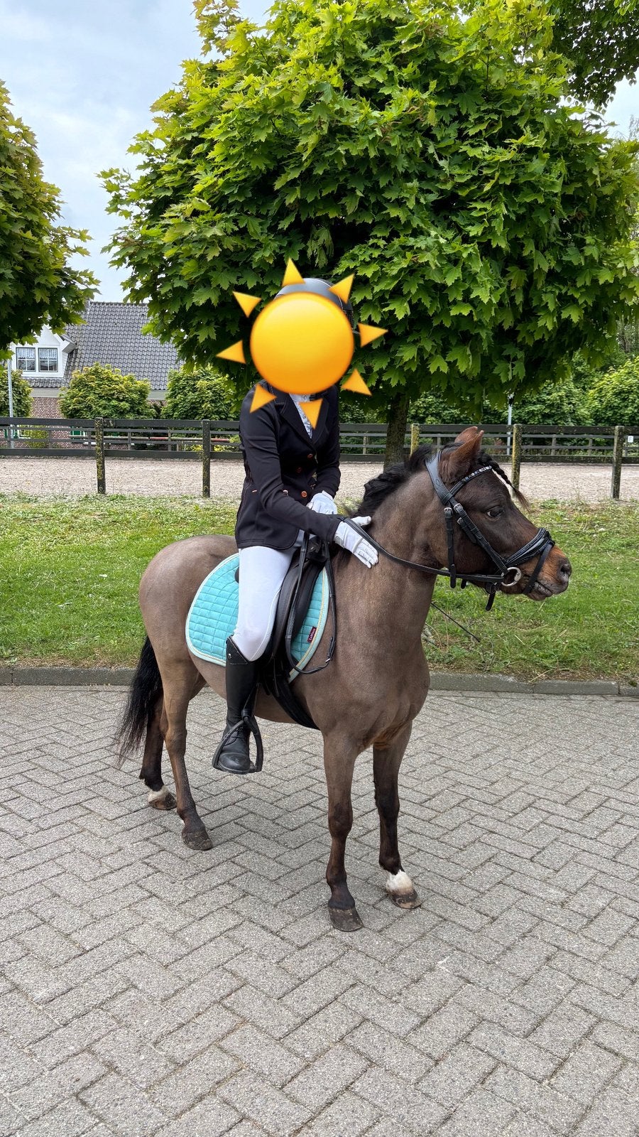 Lease pony 2/3 dagen verzorg B pony paardrijden bomproof, Ophalen, Nieuw