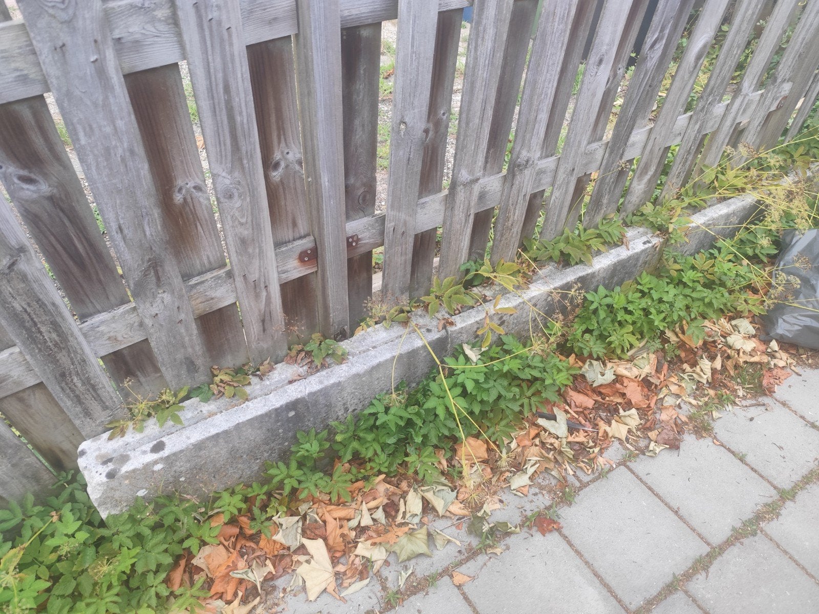 Verschillende grote betonblokken zwaar gratis, Tuin en Terras, Ophalen, Minder dan 3 meter, Hout, 1 tot 2 meter