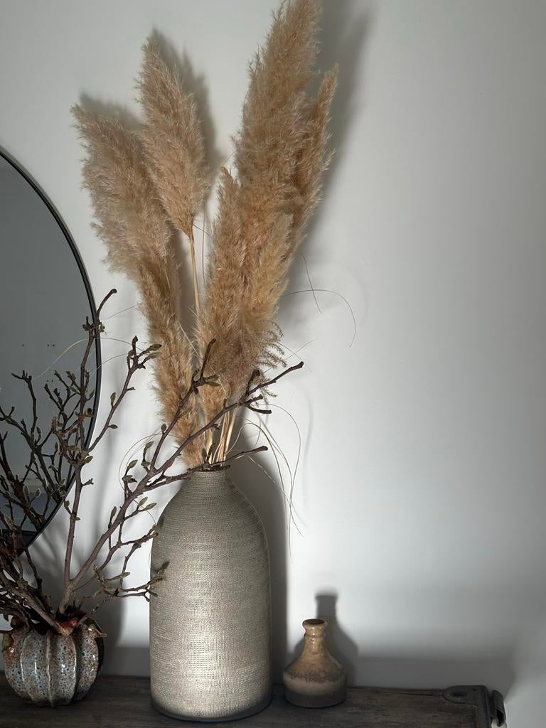 Grote Intratuin vaas met of zonder pampas pluimen 45 cm, Overige materialen, Overige kleuren, Ophalen of Verzenden, Zo goed als nieuw