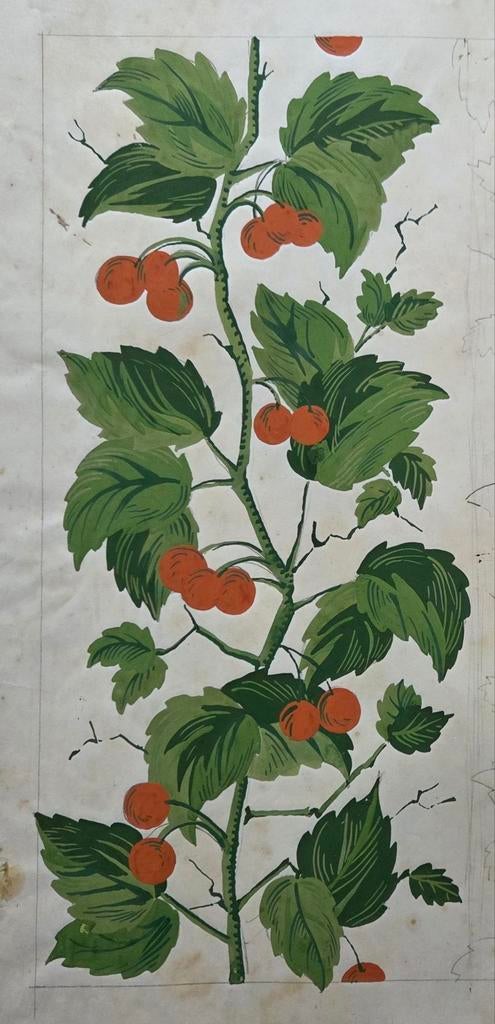 Tak met bessen. Gouache. Studie., Antiek en Kunst, Kunst | Etsen en Gravures, Ophalen of Verzenden