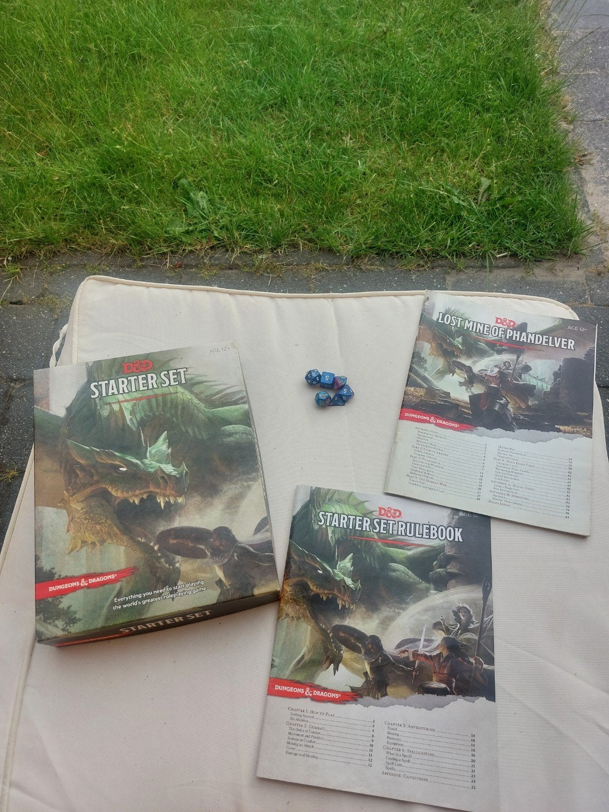 D&D Starter Set, Vijf spelers of meer, Ophalen of Verzenden, Gebruikt