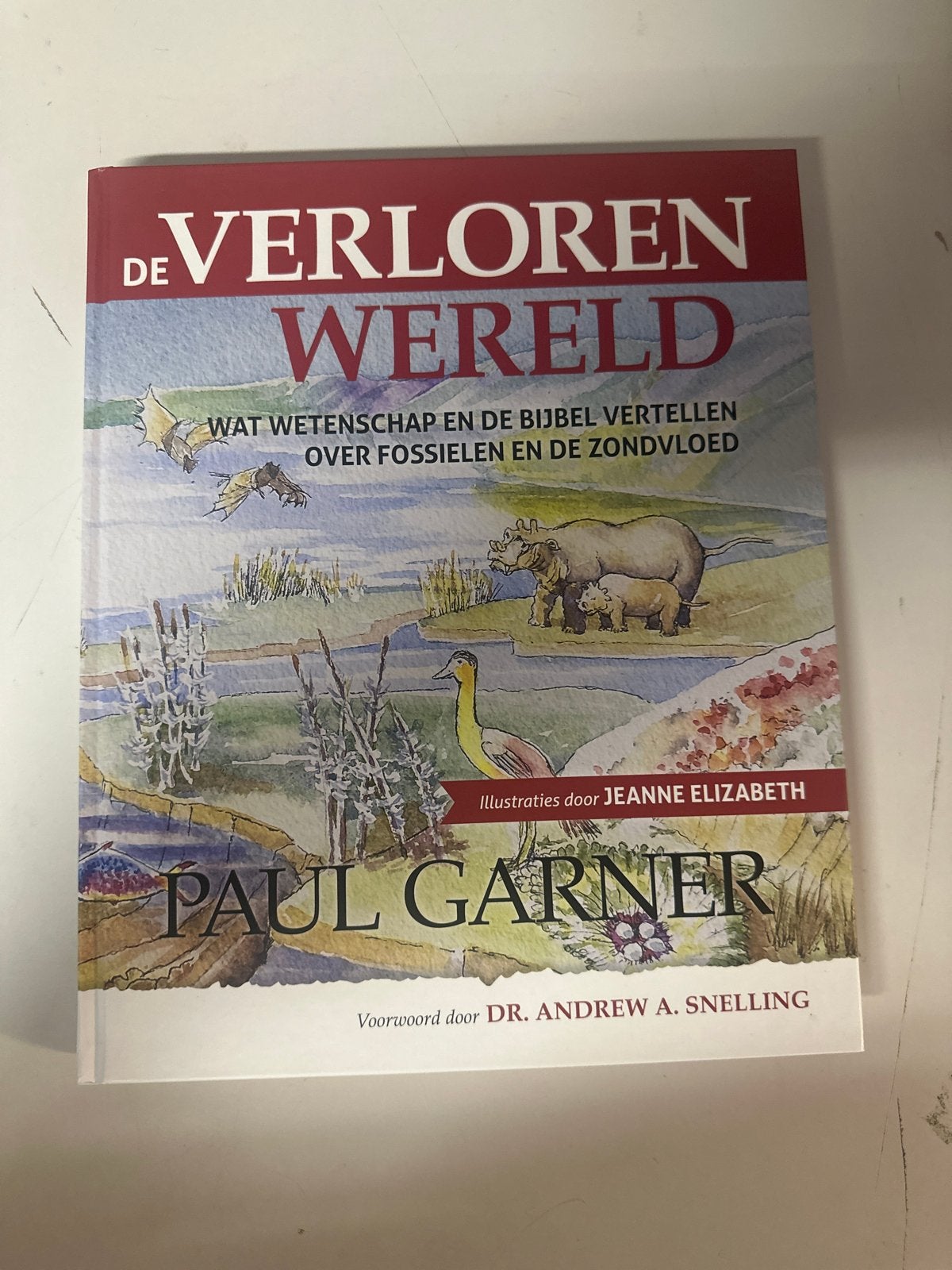 De Verloren Wereld: Wetenschap, Bijbel, Fossielen & Zondvloe, Ophalen of Verzenden, Zo goed als nieuw, Christendom | Protestants