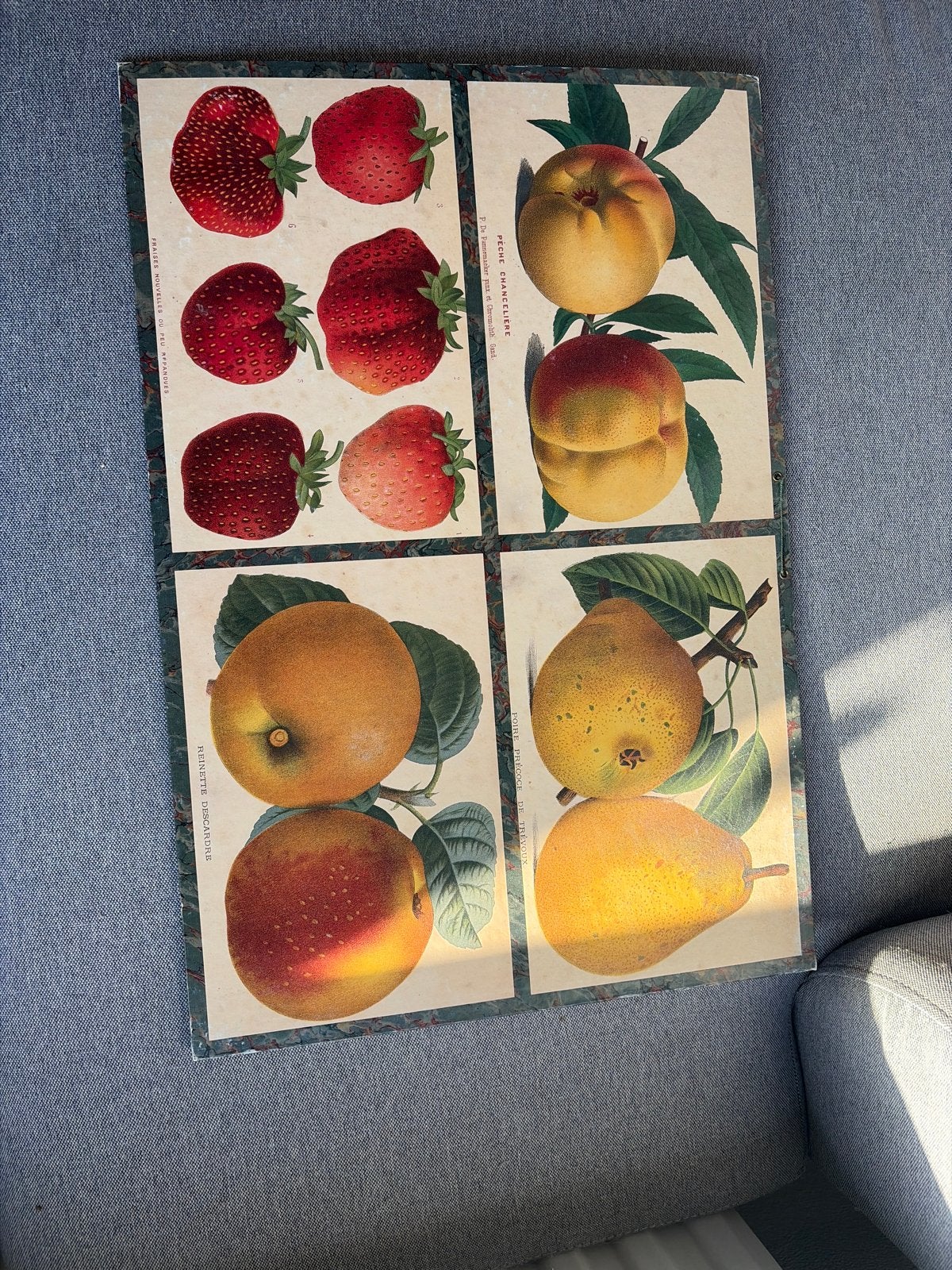 Vintage fruitposter met Franse tekst, Ophalen
