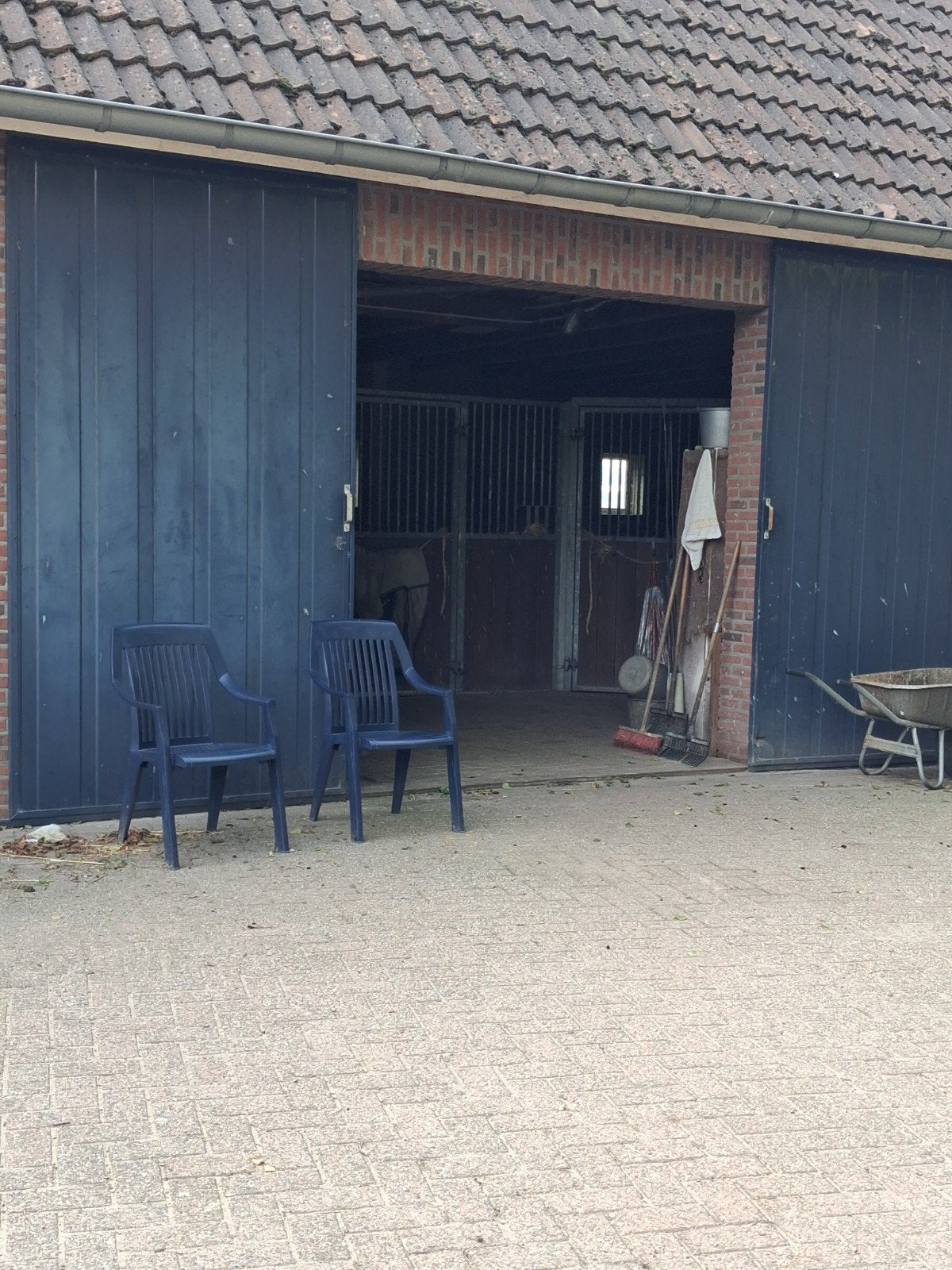 aangeboden pensionstalling, Dieren en Toebehoren, Weidegang