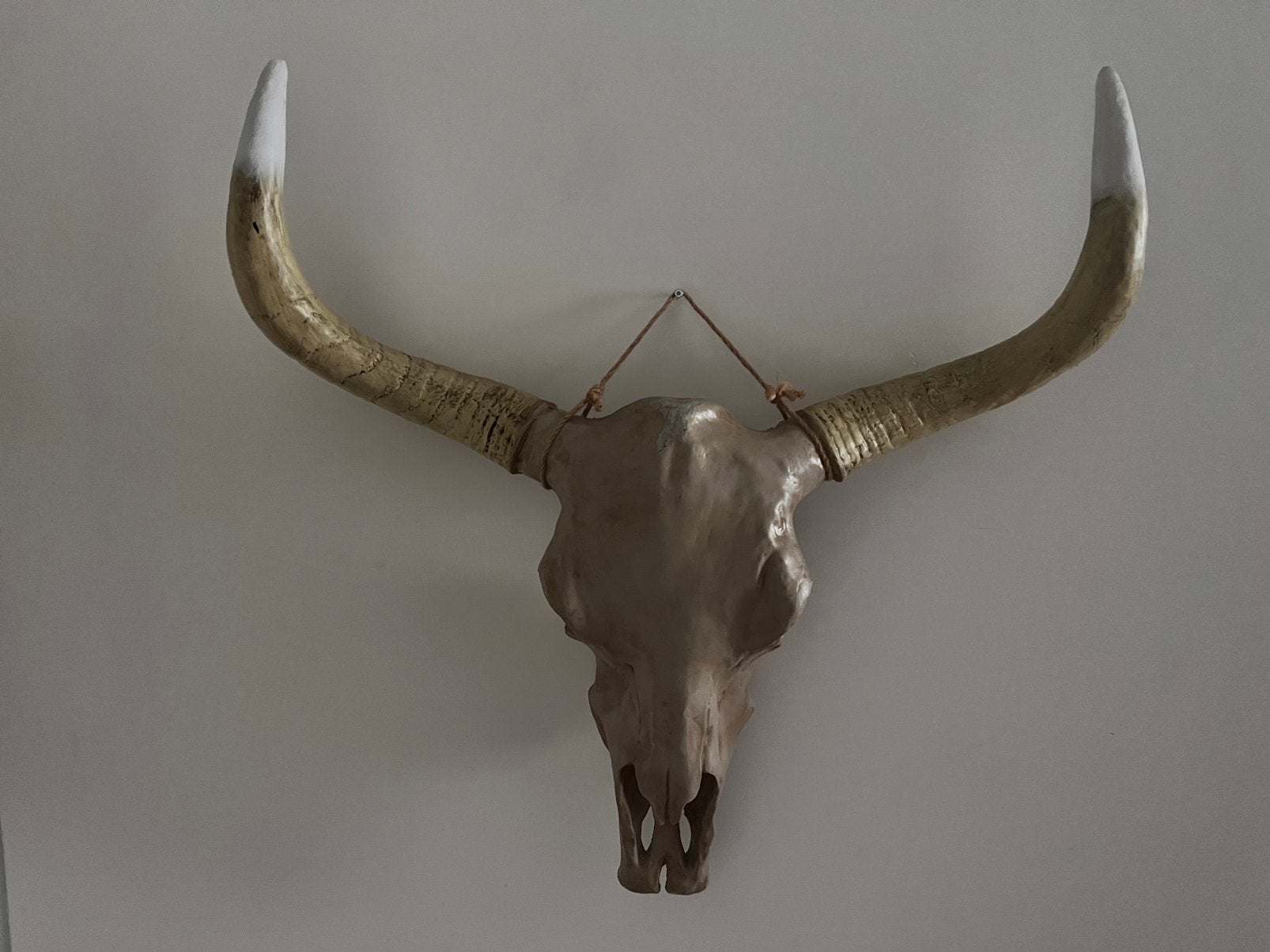 Skull     Buffel.    VT wonen, Verzamelen, Dierenverzamelingen, Ophalen, Zo goed als nieuw, Paard, Beeldje of Figuurtje