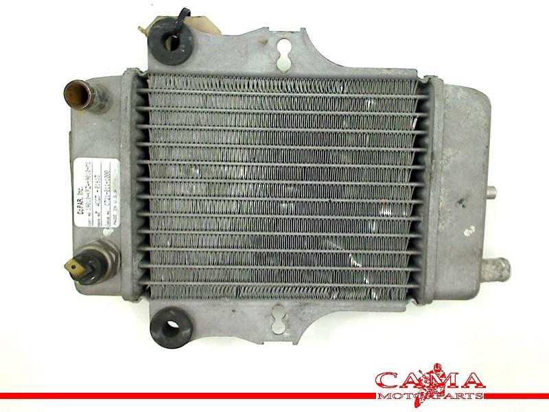 Radiateur Honda SES 150 Dylan (SES150) (1970-01/..) 614030, Honda, Gebruikt, Hanauer Landstraße  222-224, Frankfurt am Main 60314, , Duitsland