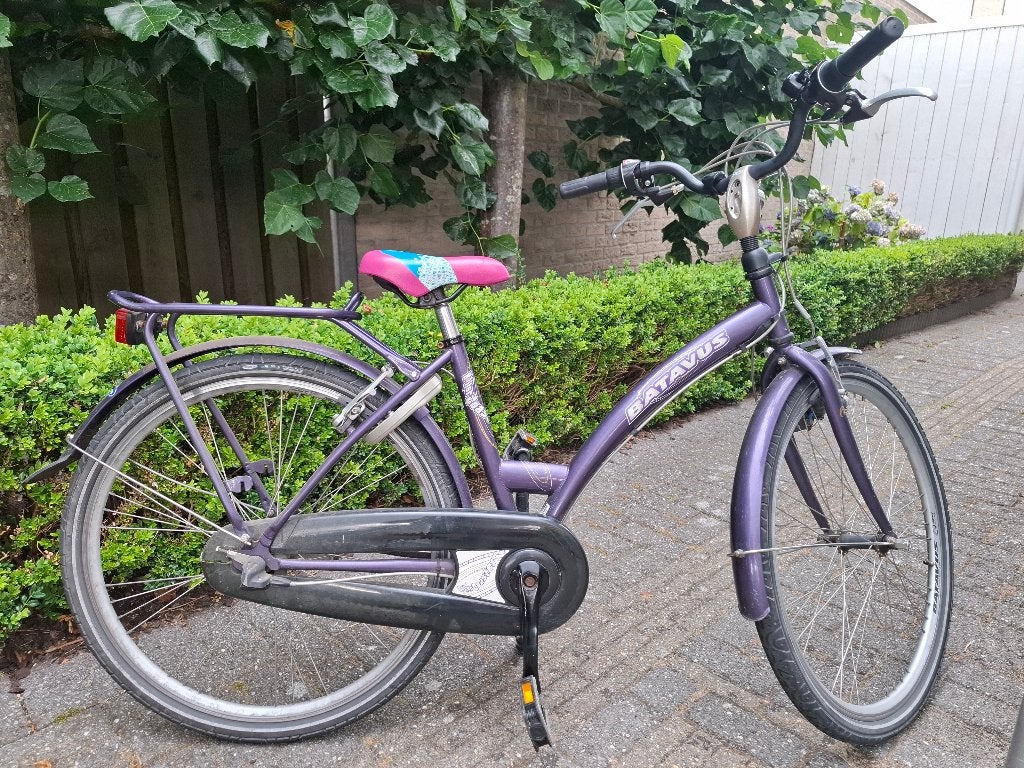 Batavus rollercoaster 26inch, Fietsen en Brommers, Gebruikt, Velgrem, Versnellingen, Batavus