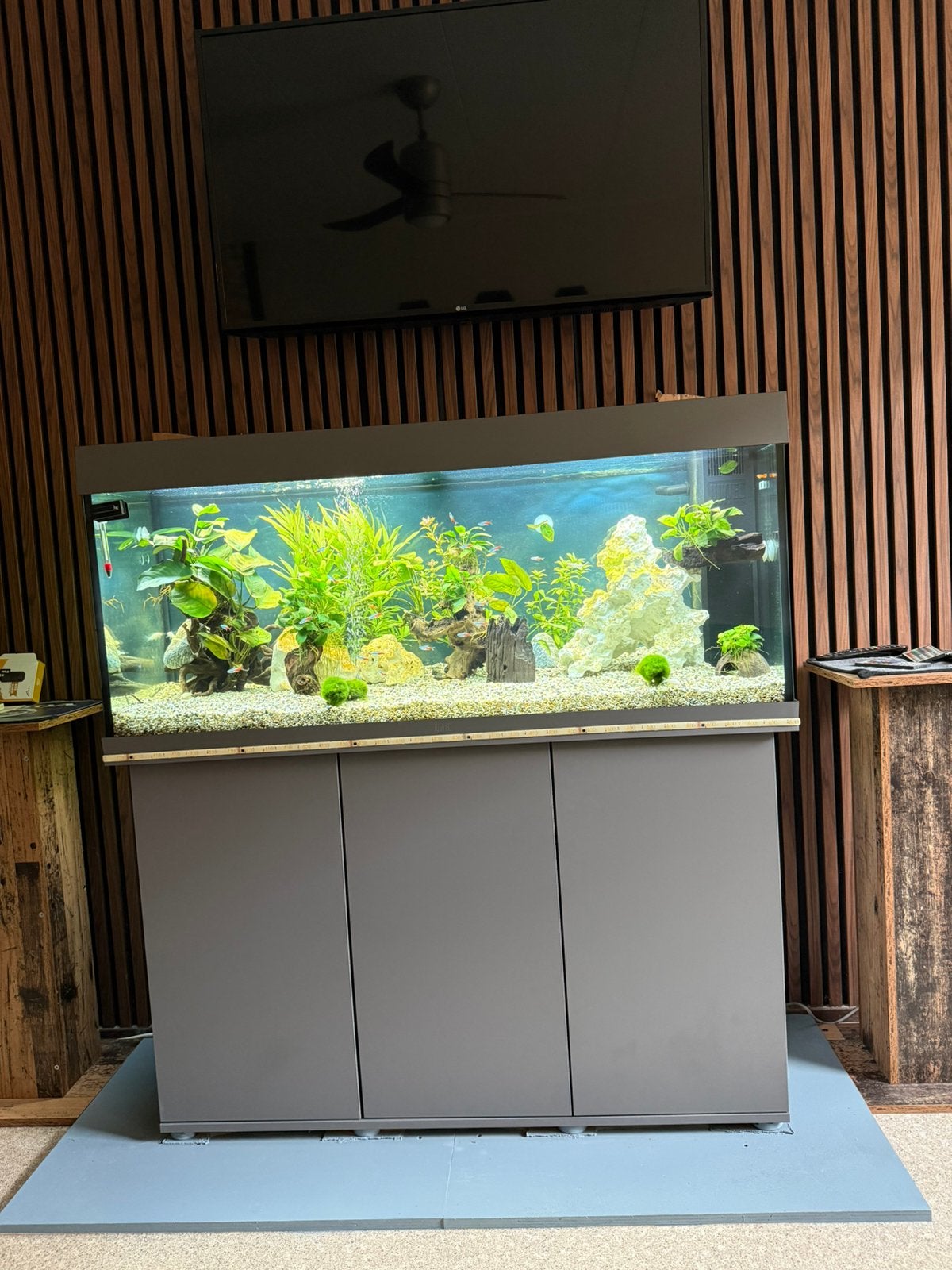 Juwel aquarium, Ophalen, Pomp, Juwel, Gevuld zoetwateraquarium