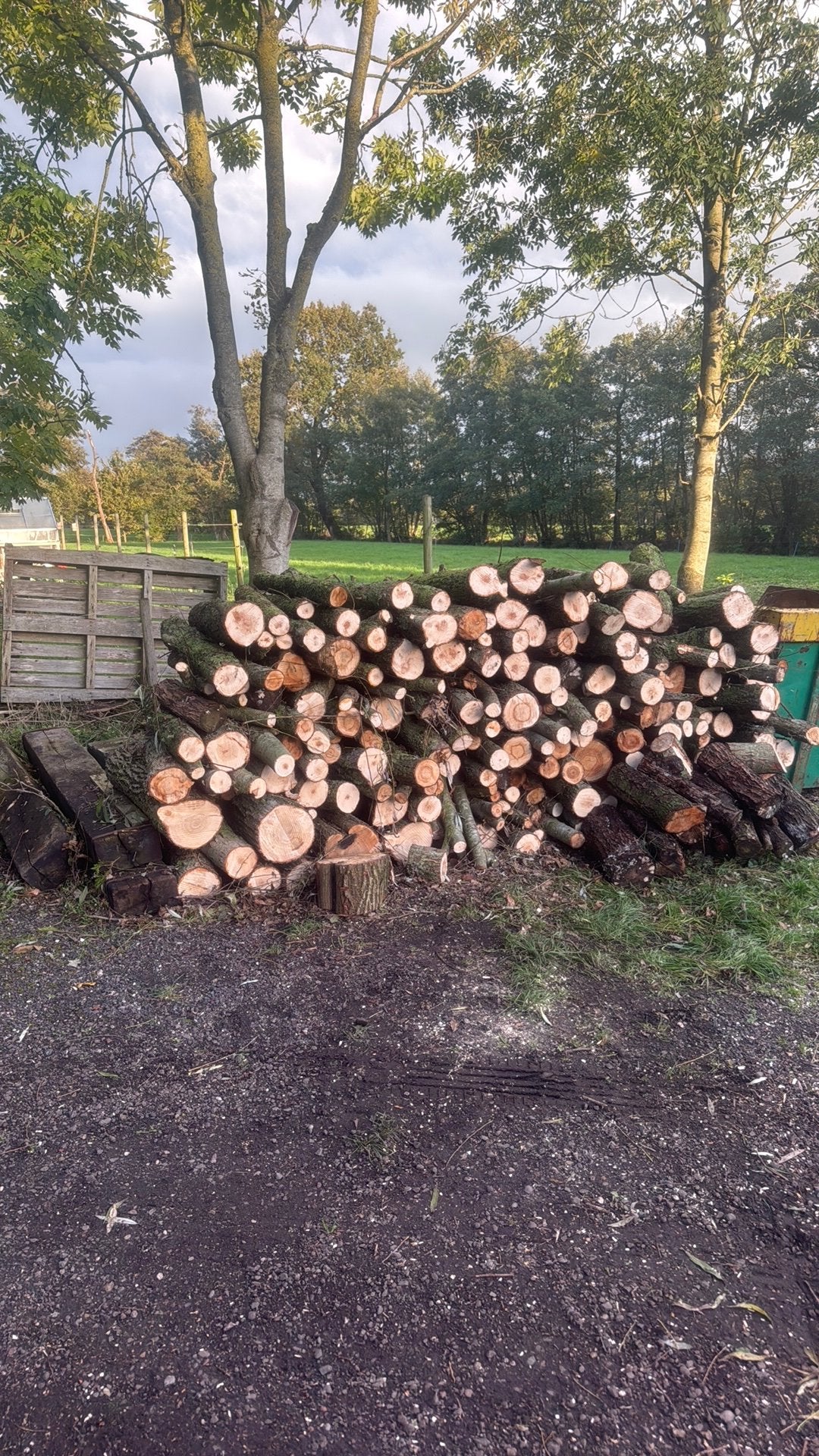 4,5 m3 haardhout stammen, 3 tot 6 m³, Ophalen, Overige houtsoorten, Stammen