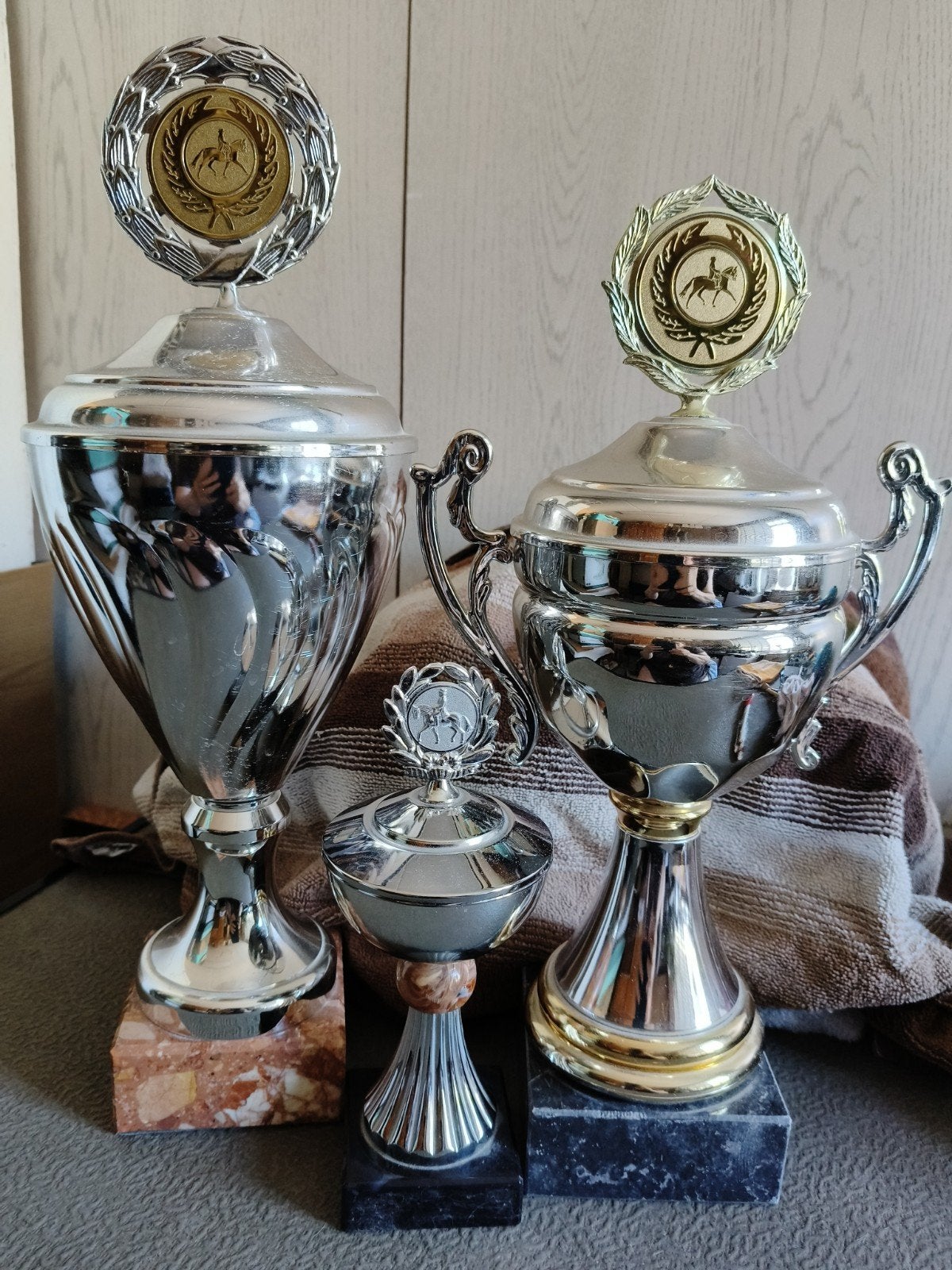 Set van 3 paardensport trofeeën, Ophalen, Zo goed als nieuw