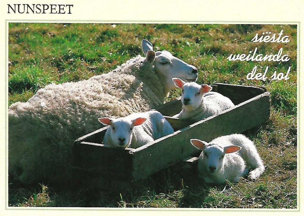 Nunspeet- -Siësta weilanda del sol., Verzenden, 1980 tot heden, Gelopen, Gelderland