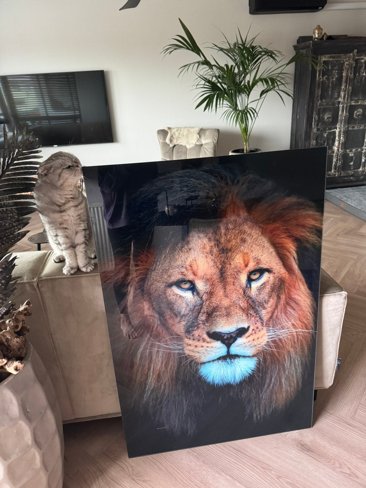 plexi schilderij, Ophalen of Verzenden, Zo goed als nieuw, 100 tot 125 cm, Schilderij