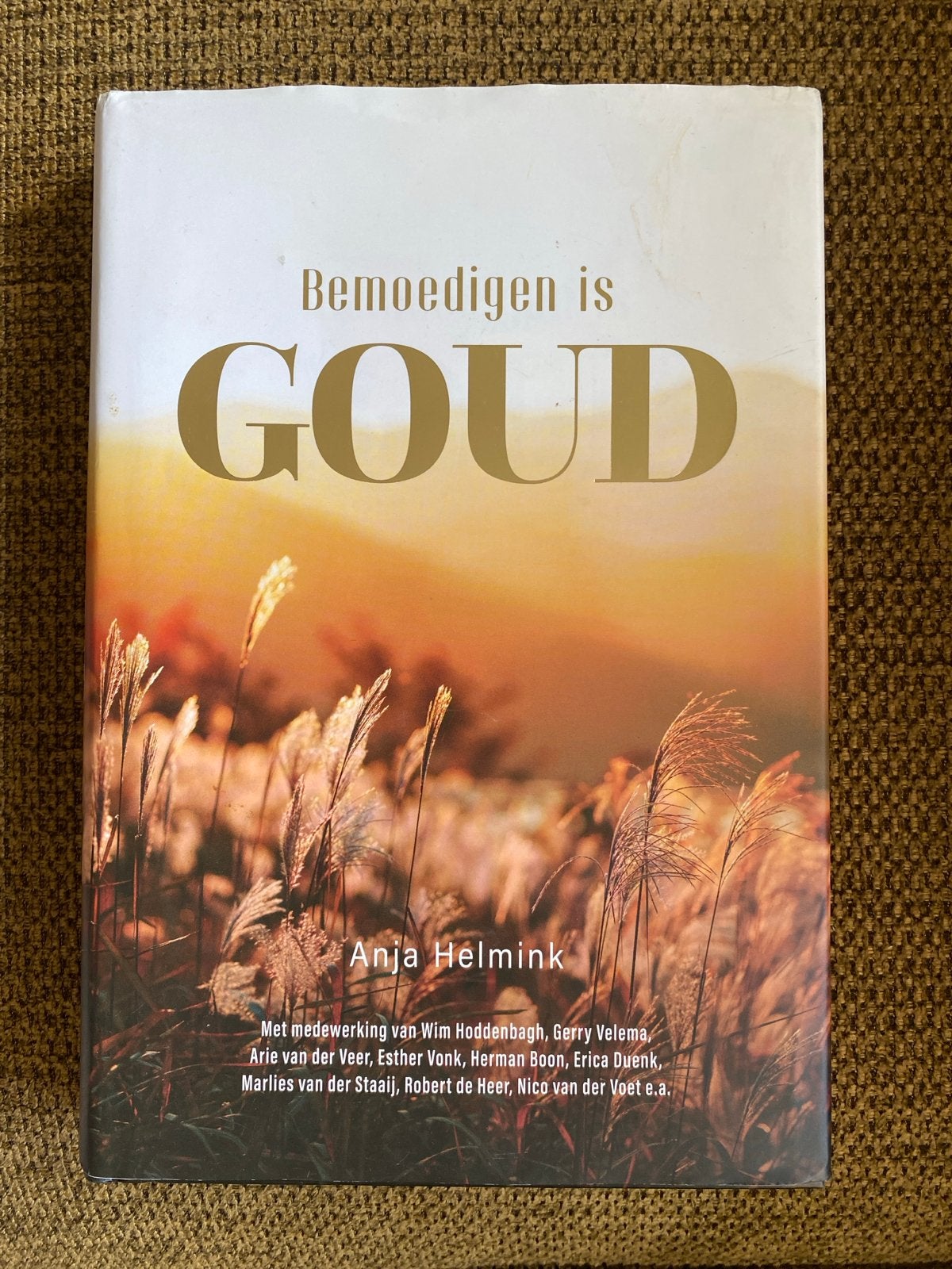 Anja Helmink - Bemoedigen is Goud, Boeken, Ophalen of Verzenden, Zo goed als nieuw, Anja Helmink