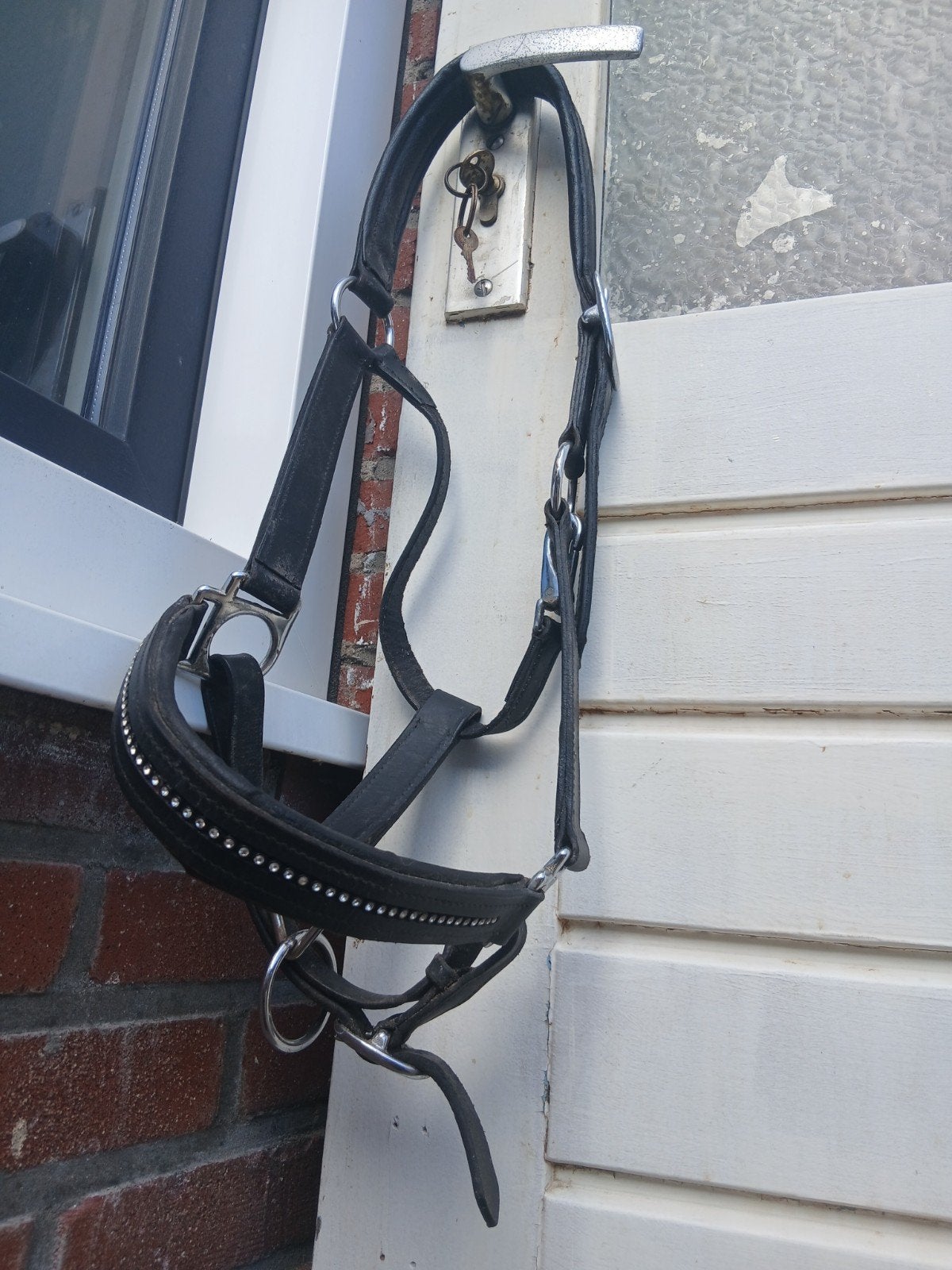 Paarden halster echt leer maat full, Dieren en Toebehoren, Paarden en Pony's | Dekhengsten en Fokmerries, Meerdere dieren