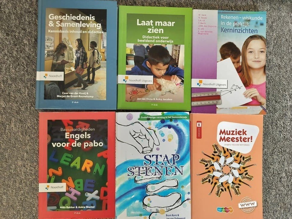 Pabo studieboeken te koop! (Driestar), Boeken, Diverse auteurs, Zo goed als nieuw, Beta, HBO