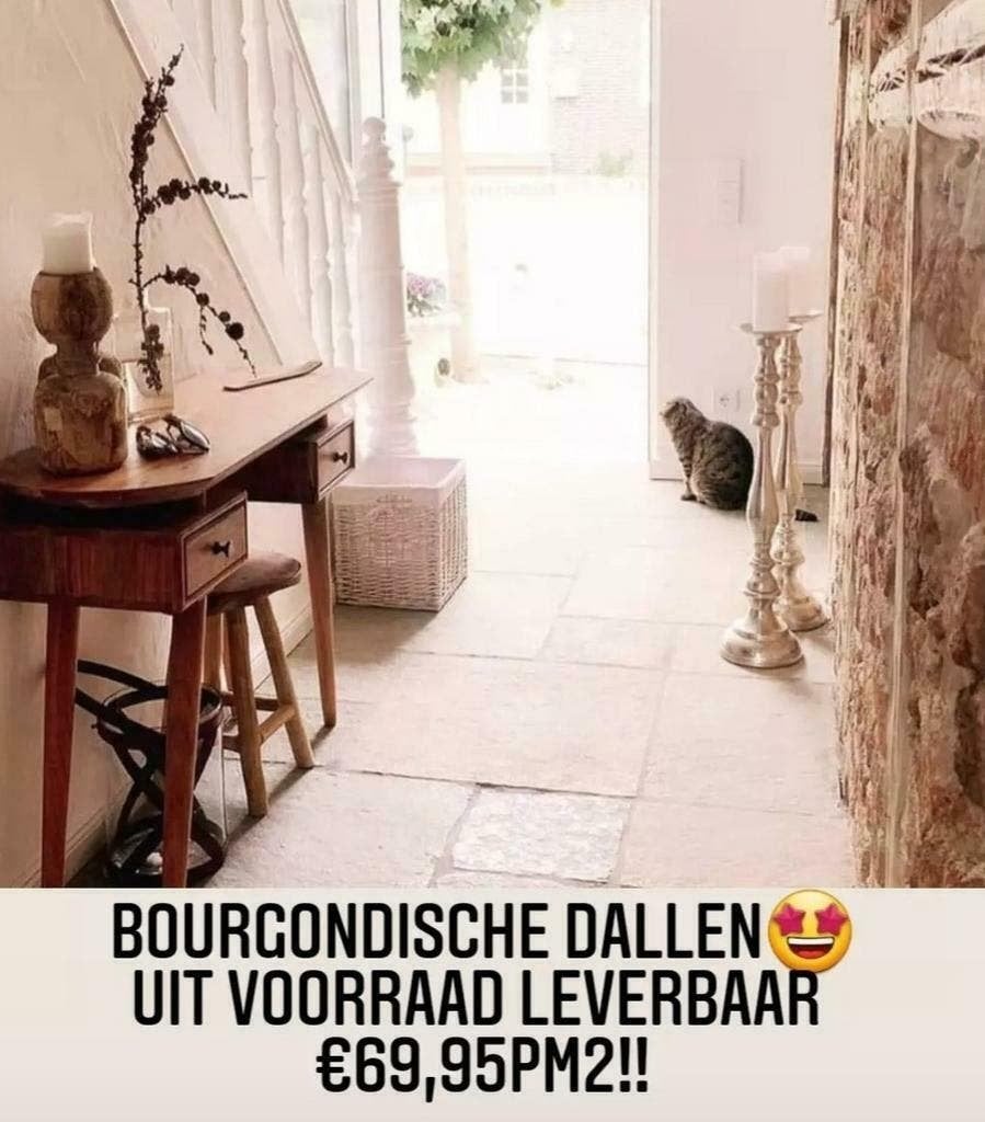 Echte bourgondische dallen vloer Kalksteen Aanbiedingen, Ophalen of Verzenden, Nieuw, 75 m² of meer, Overige typen