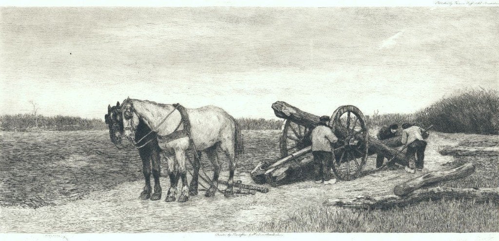 litho paarden met bomen kar Wilm Steelink 1856-1926, Dagelijks leven, Verzenden, Origineel, Lithografie