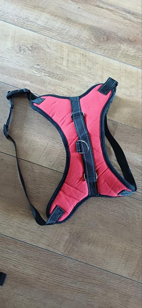 Nieuw honden tuigje. Maat xl., Ophalen of Verzenden, Nieuw
