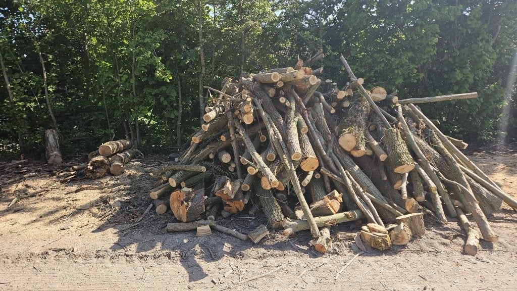Brandhout, Tuin en Terras, Haardhout, Stammen, Essenhout, 6 m³ of meer, Ophalen