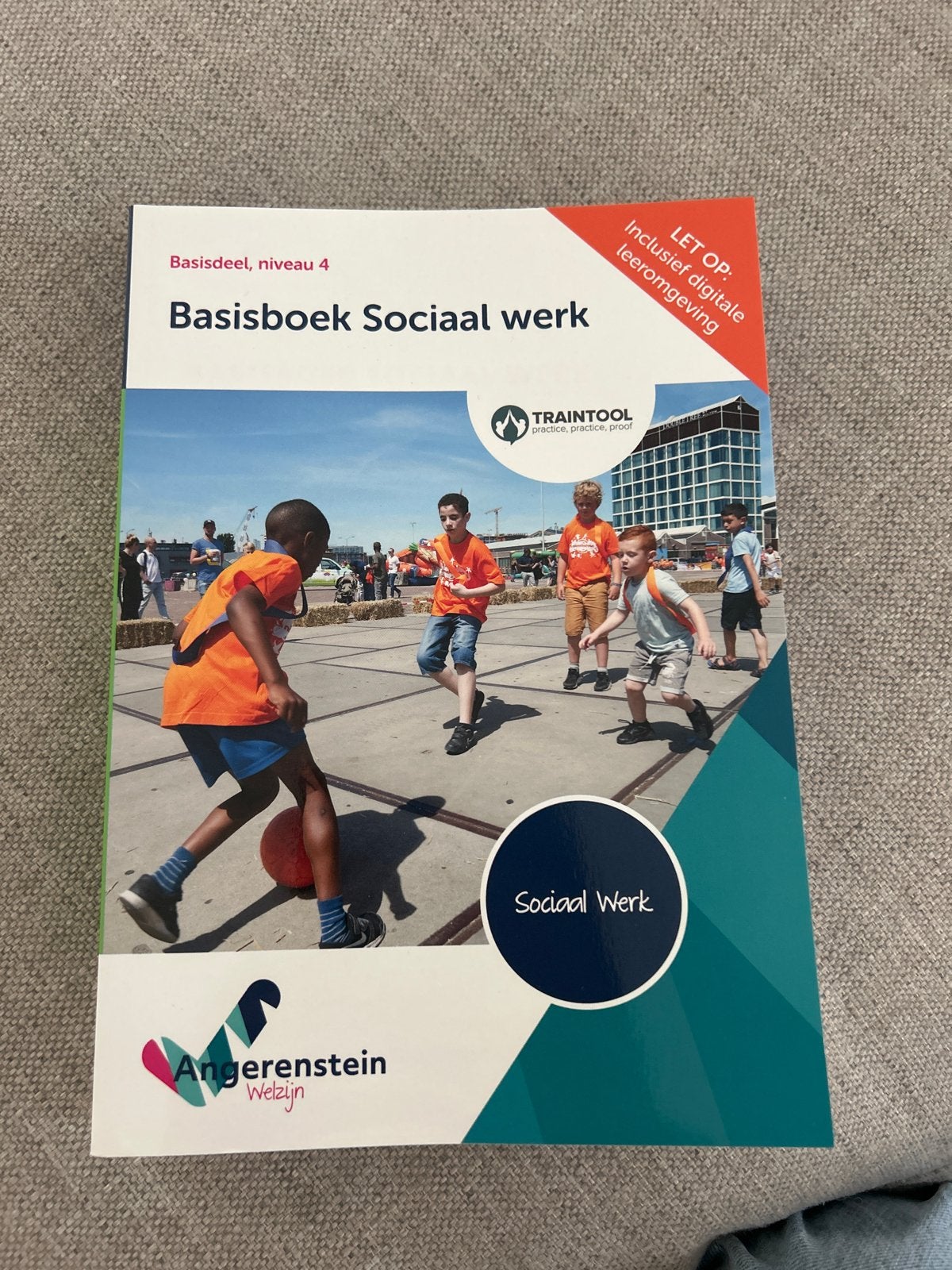 Basisboek Sociaal Werk - Basisdeel, niveau 4, Boeken, Studieboeken en Cursussen, Ophalen of Verzenden, Gamma, Zo goed als nieuw