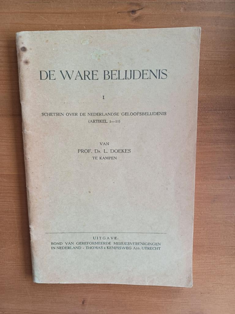 De ware Belijdenis I - artikel 1-11 NGB, Gelezen, Christendom | Protestants, Ophalen of Verzenden, Prof. dr. L. Doekes