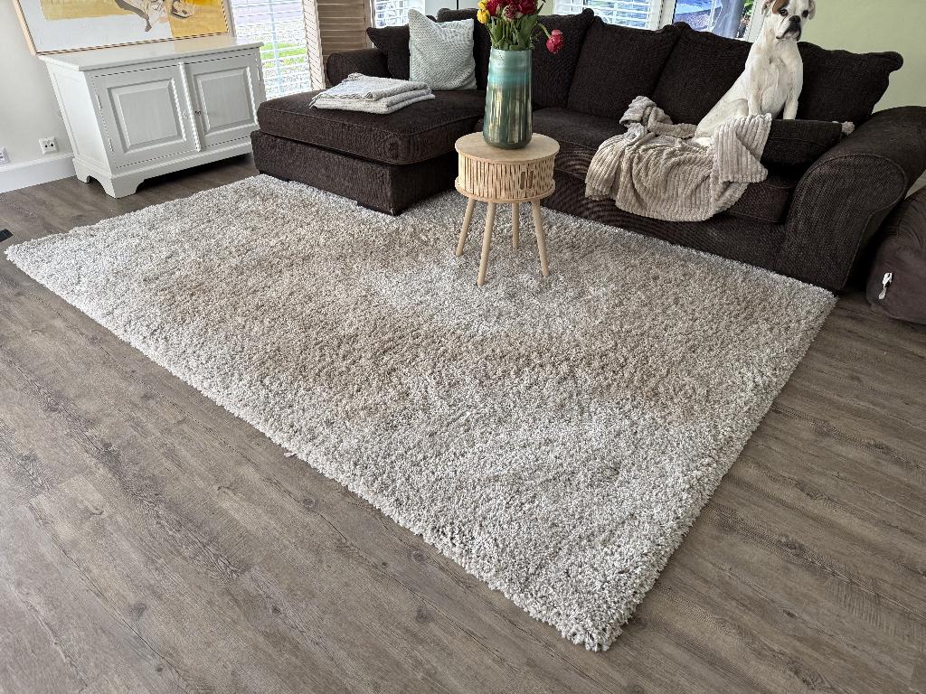 Groot hoogpolig vloerkleed 290x200 cm – zacht & sfeervol, Ophalen, Hoogpolig, Zo goed als nieuw, 200 cm of meer