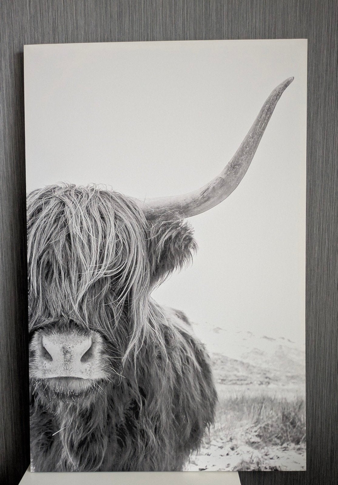 canvas Schotse Hooglander, Ophalen, Zo goed als nieuw, Schilderij