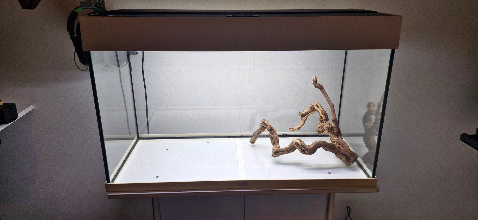 juwel aquarium 80x50x35 +toebehorende, Dieren en Toebehoren, Vis