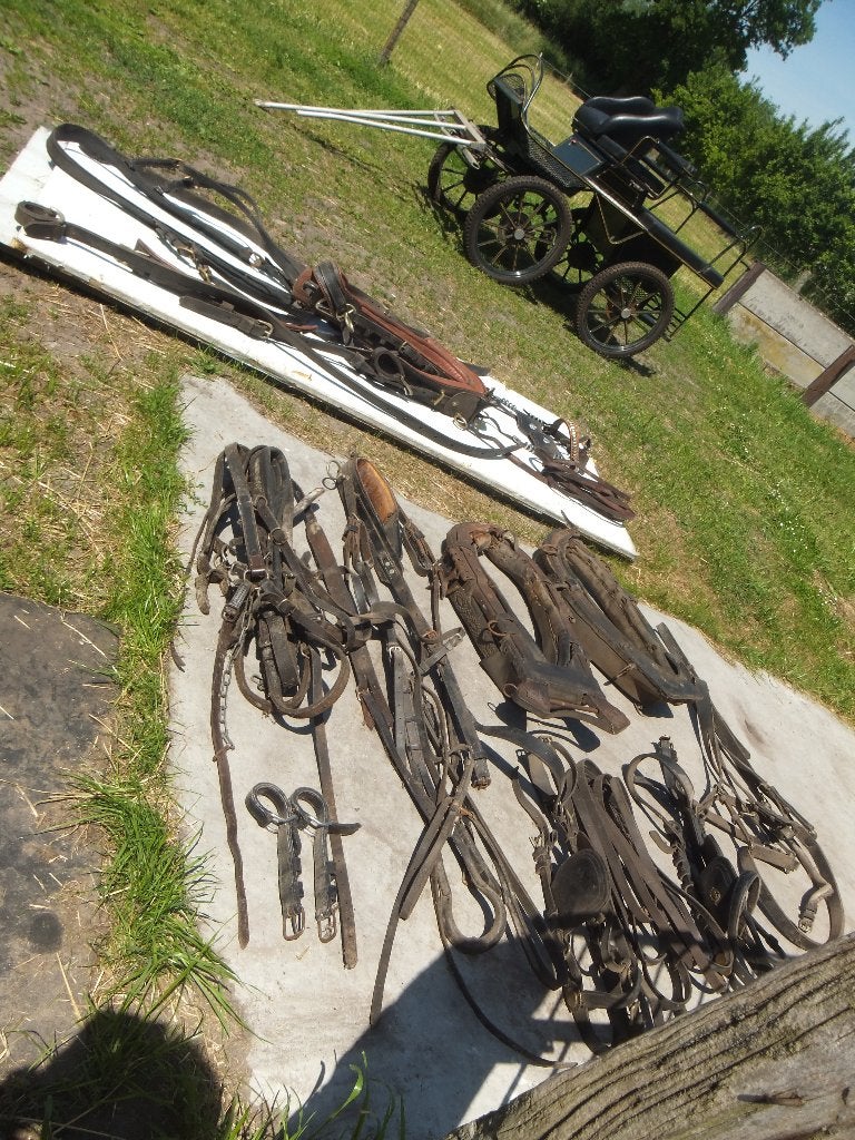 paardengerief ,koets, Ophalen, Gebruikt, Recreatie