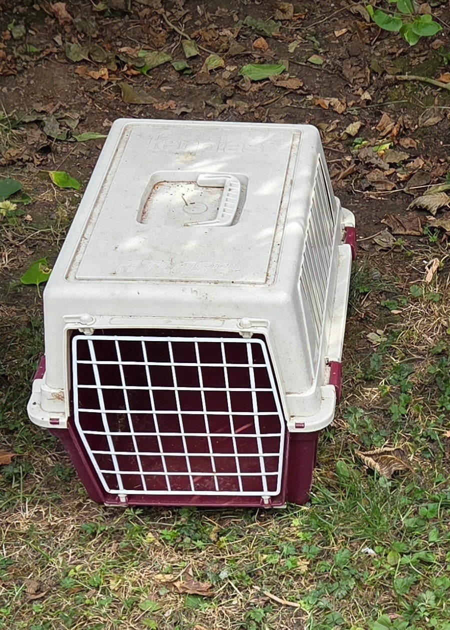 gratis! reismand huisdier (kat/konijn), Ophalen, Gebruikt