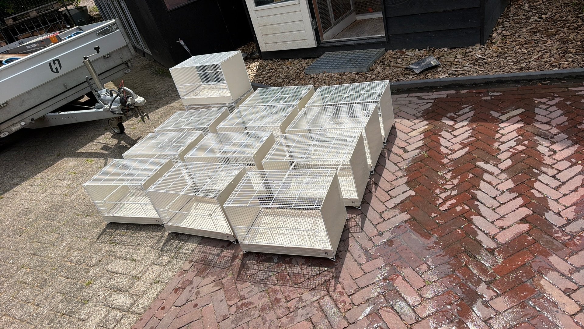 Broedkooien domus molinari 60 breed 16 stuks, Ophalen of Verzenden, Zo goed als nieuw