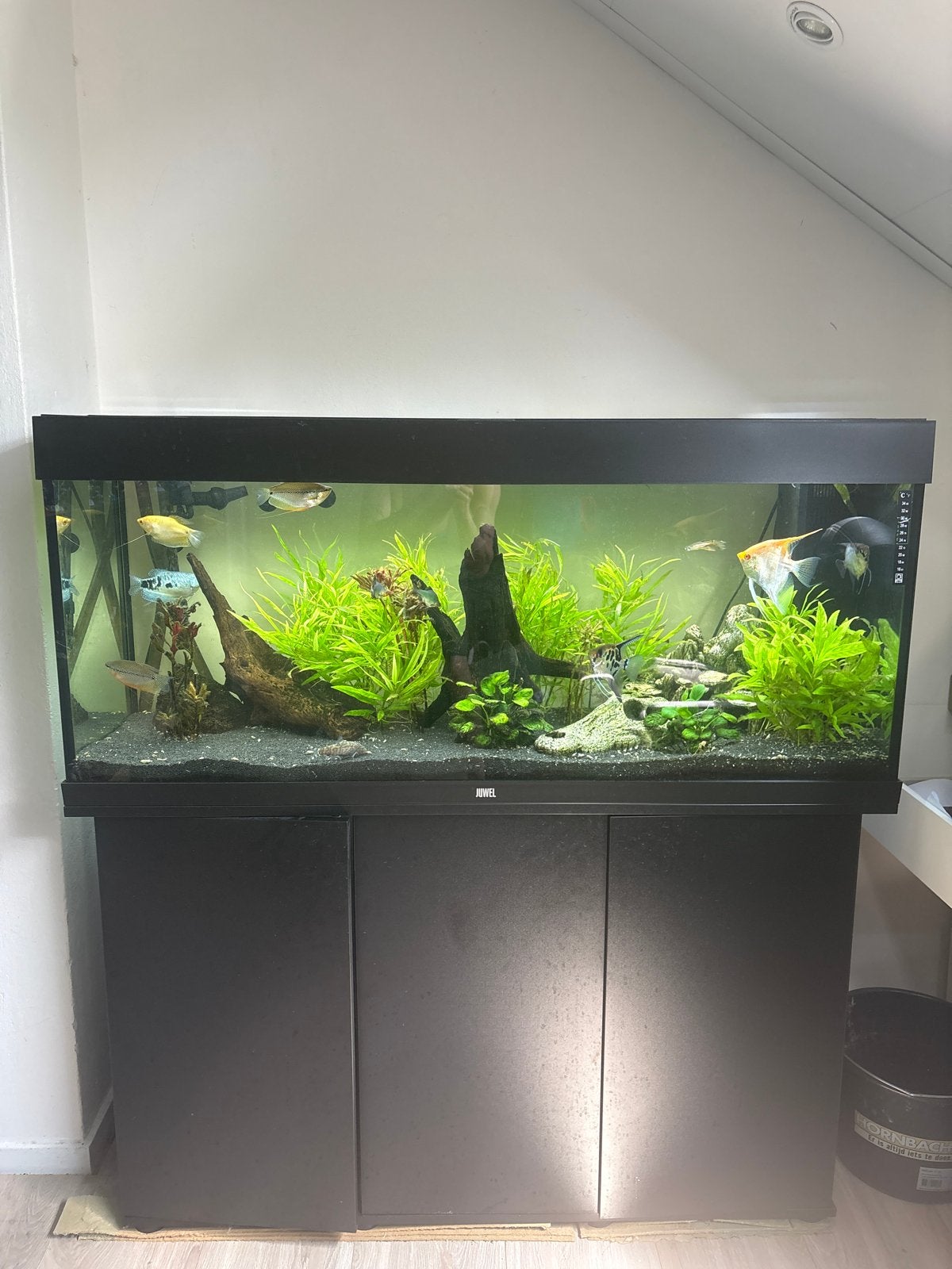 Aquarium 240L, Ophalen of Verzenden, Leeg aquarium