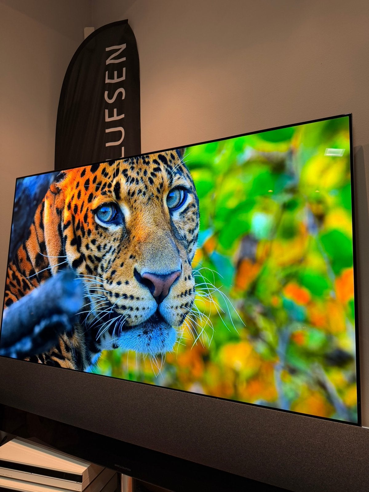 Beovision Eclipse 65 MK2 Oled bang olufsen b&o, Overige merken, Ophalen of Verzenden, Zo goed als nieuw, 100 cm of meer