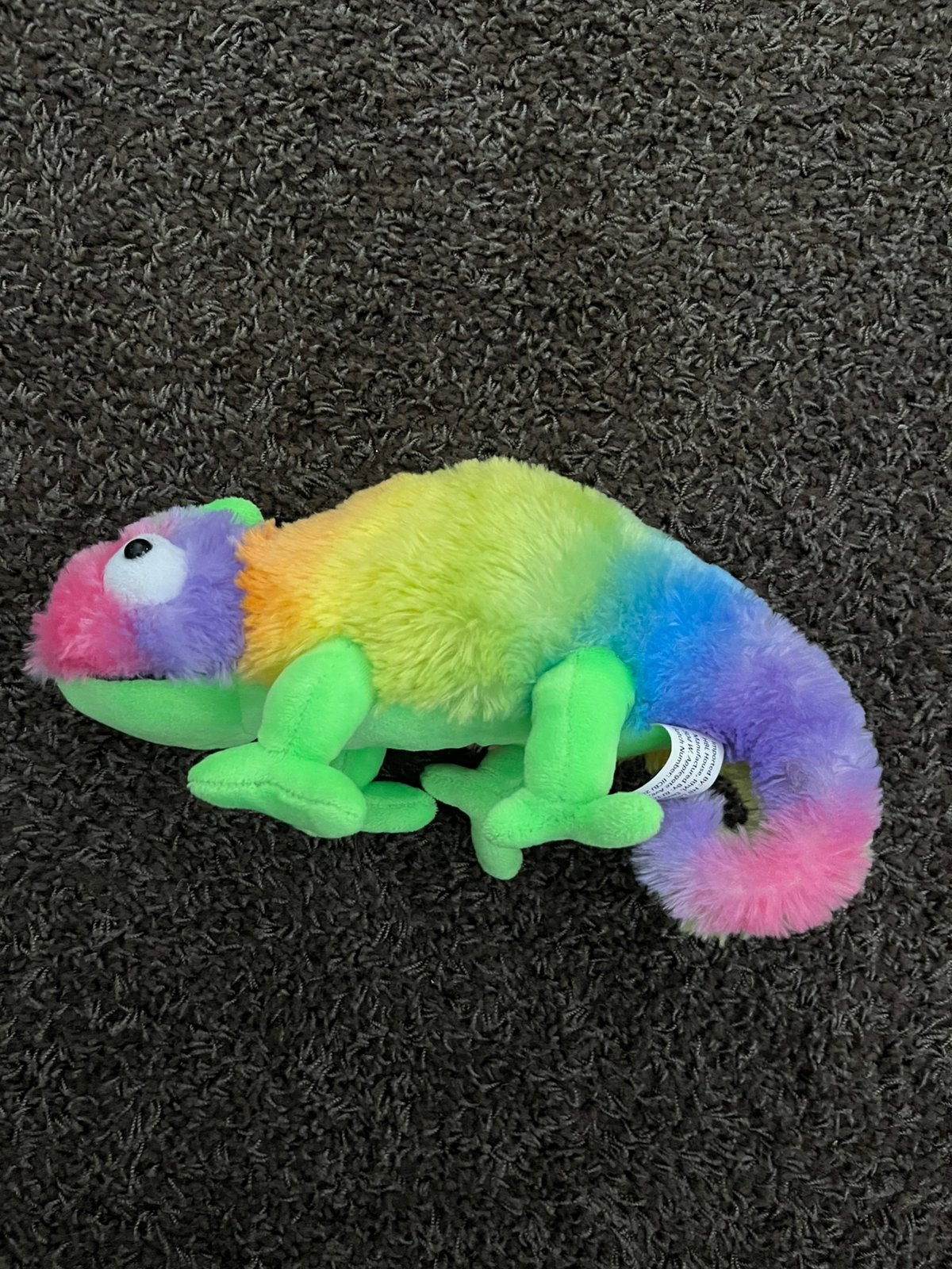 Gekleurde kameleon, Overige merken, Overige typen, Nieuw, Ophalen of Verzenden