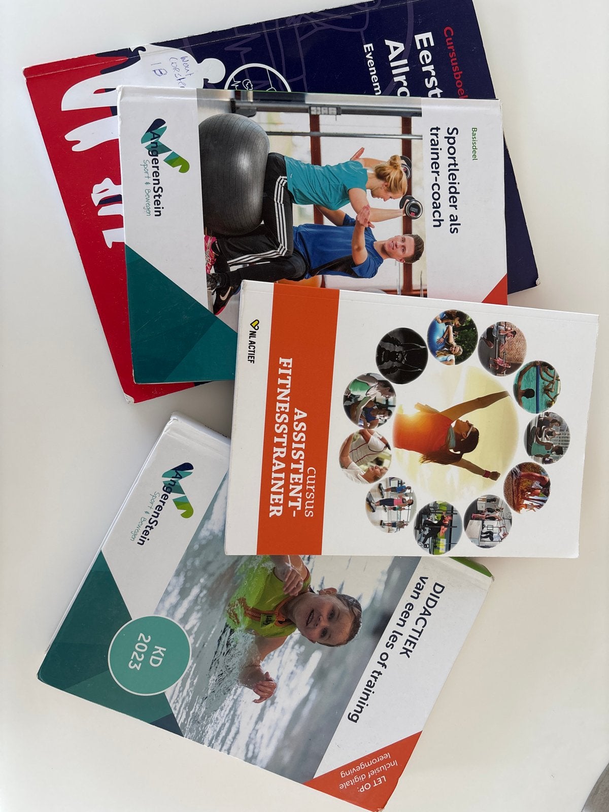Sportleider, Fitnesstrainer & Didactiek boeken (AngerenStein, Boeken, Ophalen of Verzenden, Beta, Zo goed als nieuw, MBO