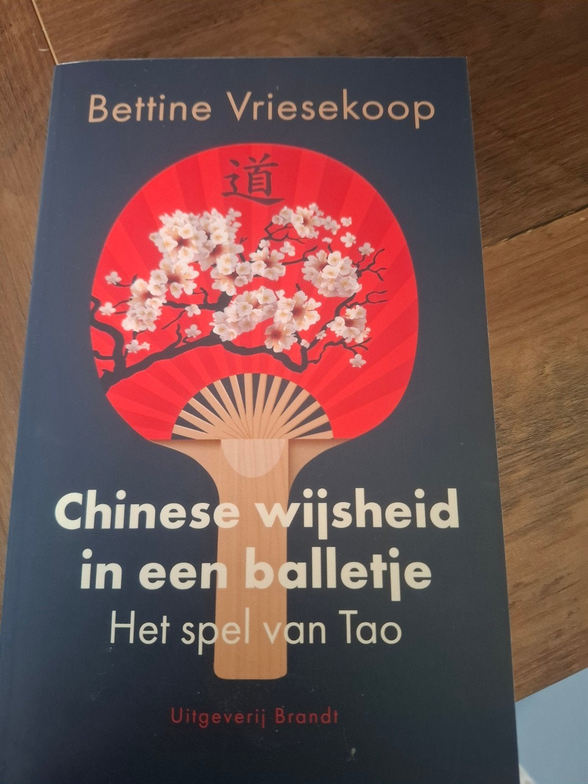 chinese wijsheid in een balletje, Boeken, Ophalen of Verzenden, Zo goed als nieuw, Cultuurfilosofie, Bettine vriesekoop