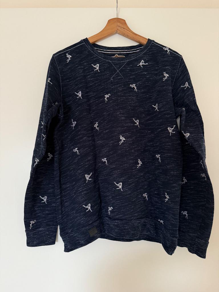 Sweater Gabbiano, Ophalen of Verzenden, Zo goed als nieuw, Gabbiano, Maat 48/50 (M)