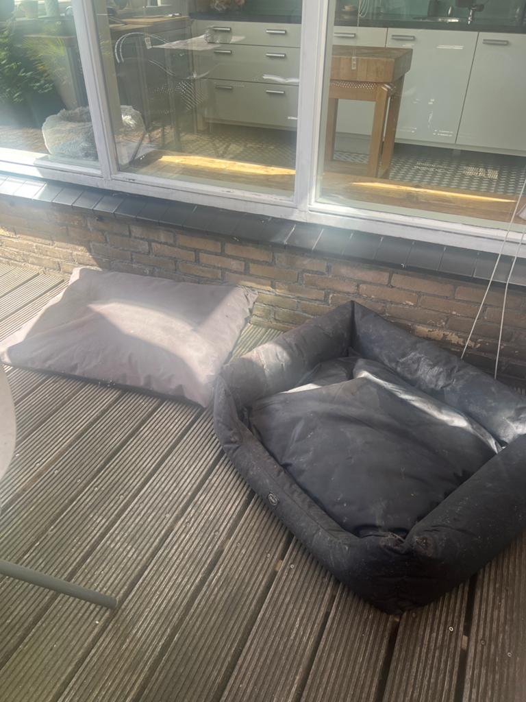 Hondenmand en hondenkussen, Ophalen, Gebruikt