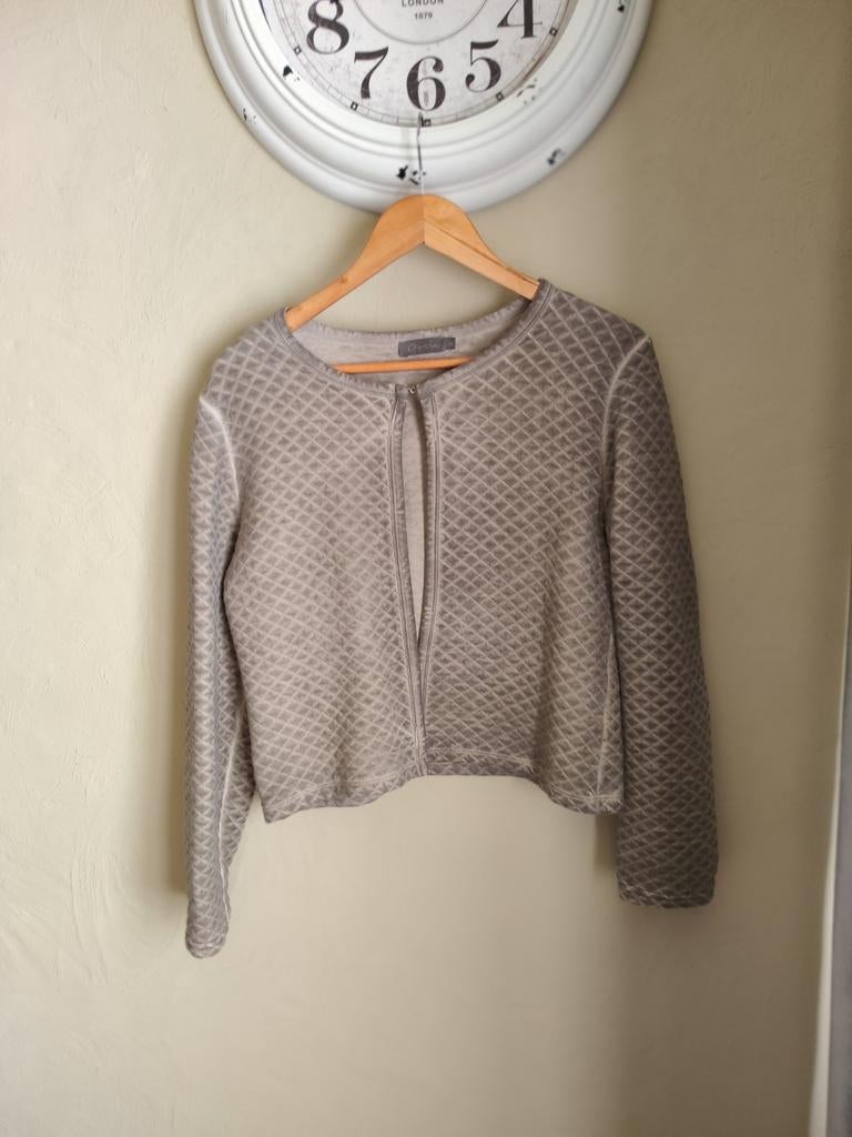 Geisha grijs kort jasje M, Kleding | Dames, Ophalen of Verzenden, Zo goed als nieuw, Grijs