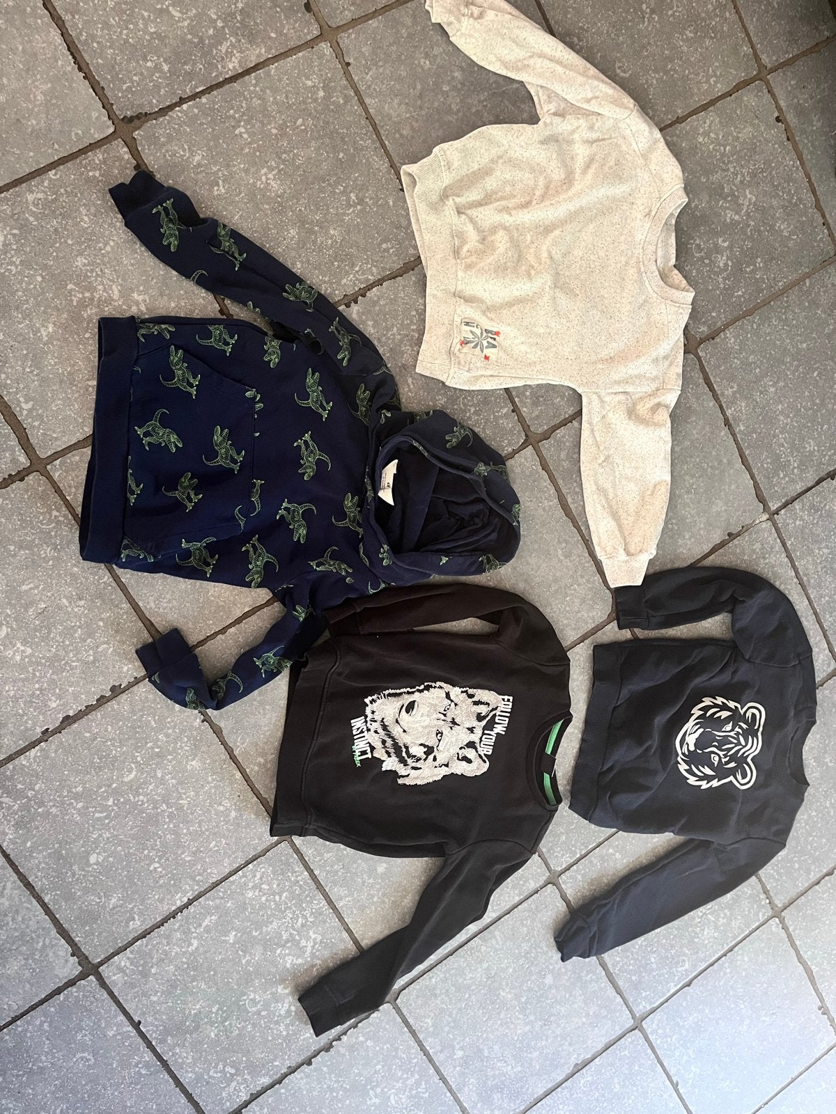 Jongens truien en hoodies maat 122/128 (4 stuks), Ophalen of Verzenden, Zo goed als nieuw, Jongen, Trui of Vest