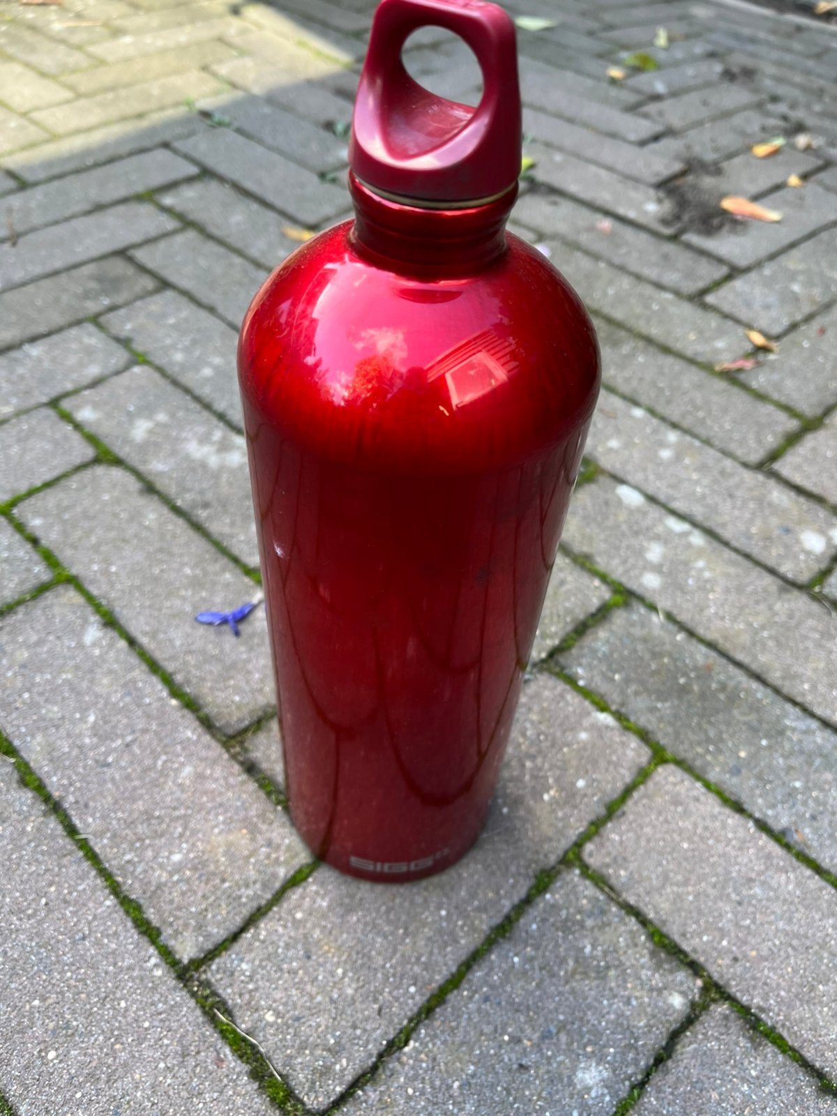 SIGG Switserland Benzine Voorraadfles | Gebruikt maar goed, Ophalen of Verzenden, Gebruikt