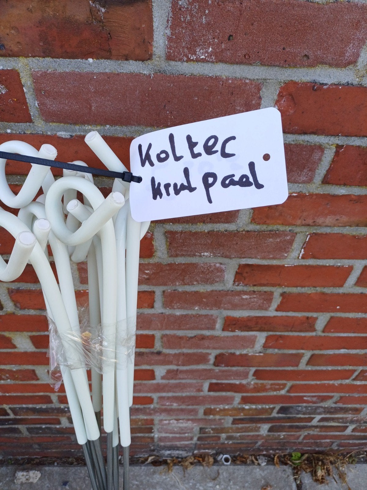 Koltec krulpalen - Nieuw, Ophalen of Verzenden, Nieuw, Minder dan 180 cm, Palen